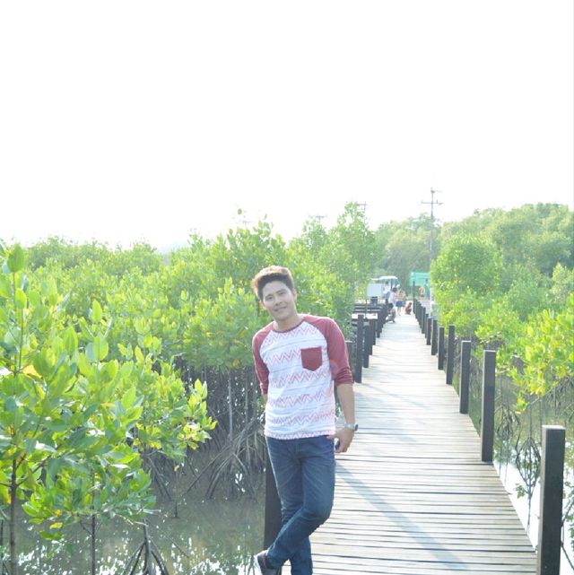 เที่ยวชมป่าชายเลน ณ ทุ่งโปรงทอง จ.ระยอง