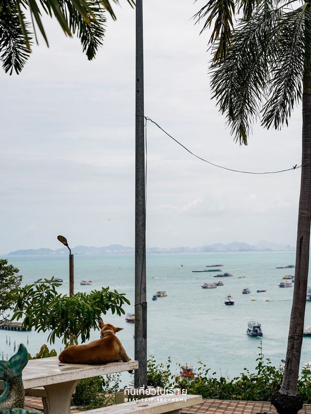 จุดชมวิวพัทยา นี่มันเกาหลีชัดๆ⛵️🌊