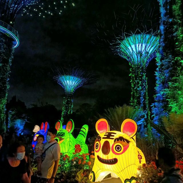 Garden Rhapsody Show at Supertree Observatory