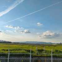 【大阪 伊丹空港ITM 】飛行機に手が届きそうな千里川✈️