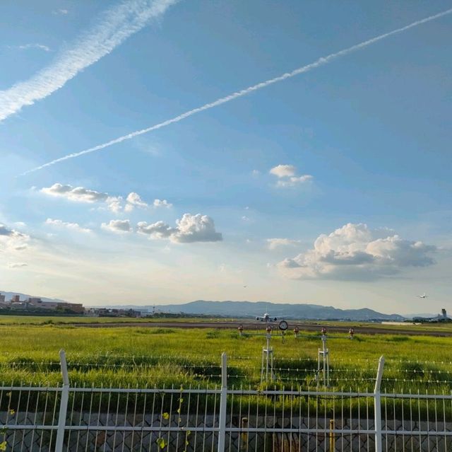 【大阪 伊丹空港ITM 】飛行機に手が届きそうな千里川✈️