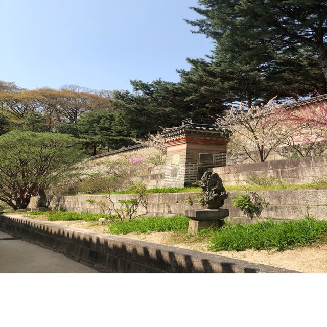 (창덕궁)힐링 여행