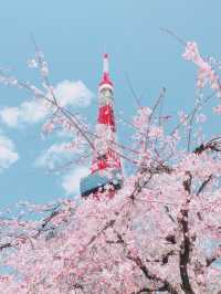 มุมลับสุดปัง 🗼Tokyo Tower