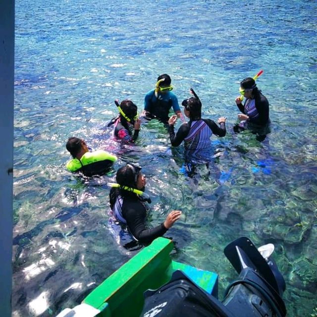 Snorkeling at the world's famous marine park