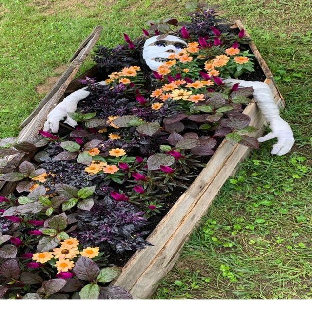 四季折々の花や緑に囲まれた国営木曽三川公園　フラワーパーク江南
