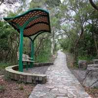 Good experience at Tsing Yi Nature Trail 
