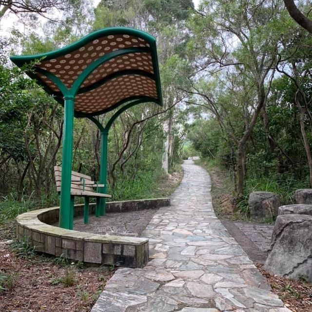 Good experience at Tsing Yi Nature Trail 