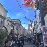 ASAKUSA 