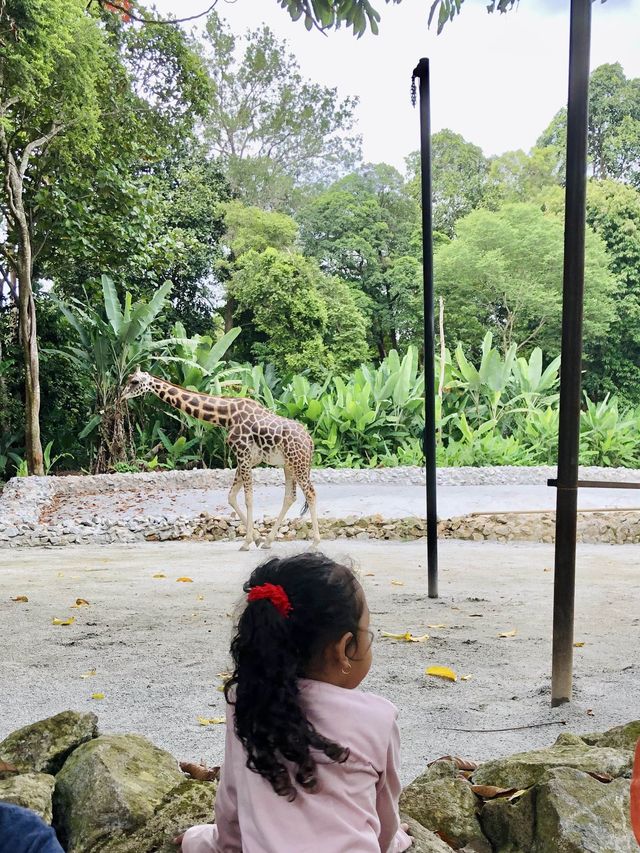 ; ZOO MELAKA. 🐘🦒🐎