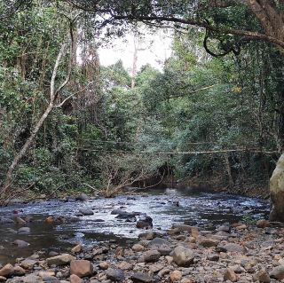 Khao Soi Dao Wildlife Sanctuary