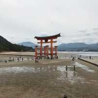 廣島世界遺產 - 嚴島神社