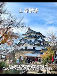 【滋賀】行ってよかった滋賀旅行！彦根おすすめ7選