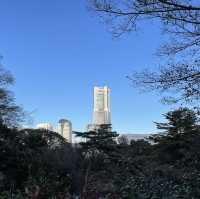 何度行っても楽しめる！無料の動物園♪