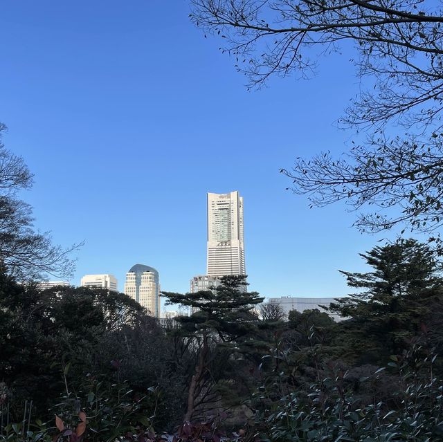 何度行っても楽しめる！無料の動物園♪