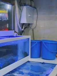 함덕에서 가장 유명한 포장 횟집 🍽️ 선우수산