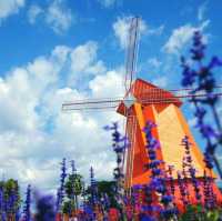 Dutch Farm @Chiangmai 