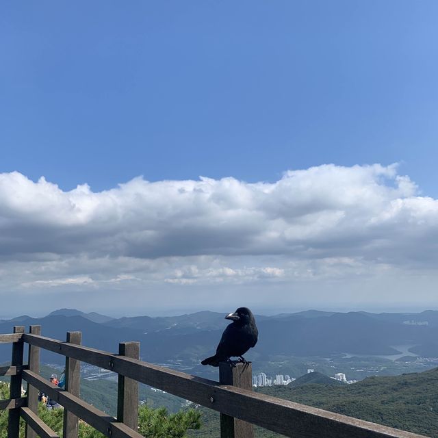 대중교통으로 100대 명산 오르기! 부산 금정산