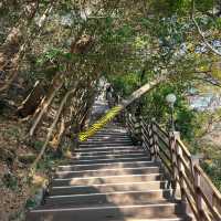 草量168臺階