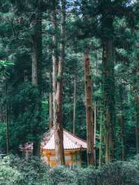 御岩神社