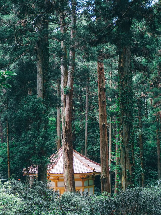 御岩神社