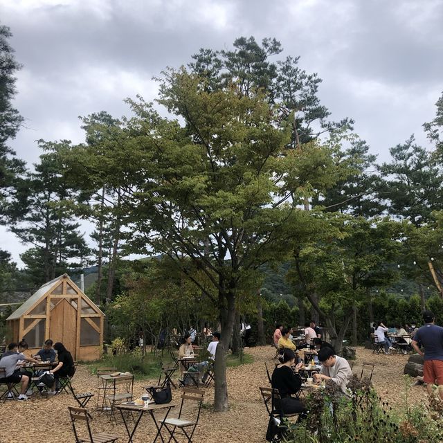 감자빵 원조, 춘천 카페 감자밭 🥔
