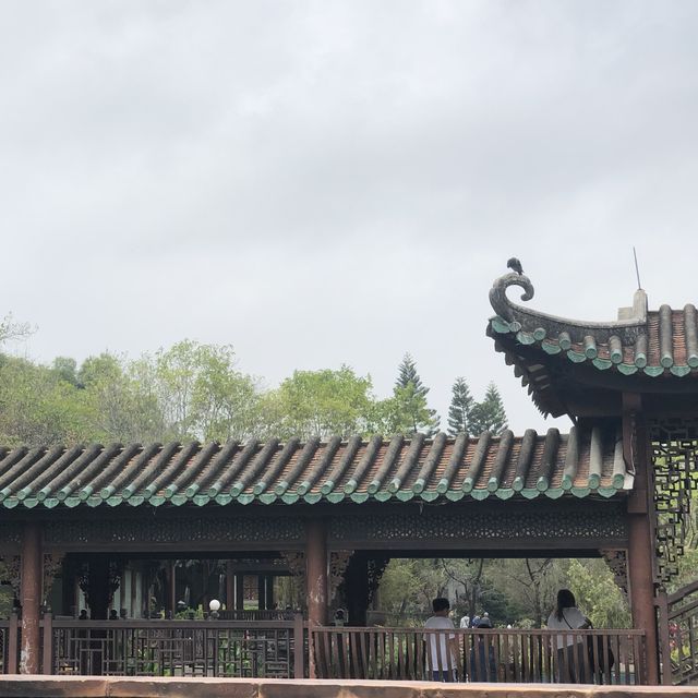荔枝角公園：嶺南之風