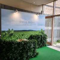 제주도 여행 - 제주 오설록 티뮤지엄