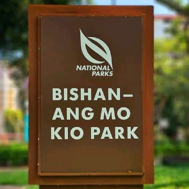 Bishan - Ang Mo Kio Park
