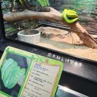 免費動物全接觸