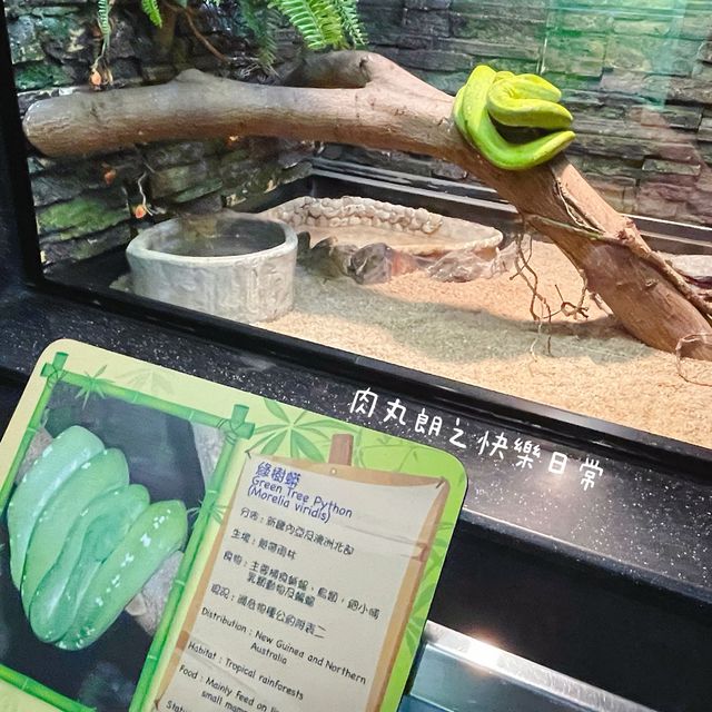 免費動物全接觸