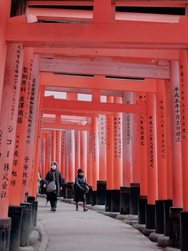 Never-ending Trails of Torii Gates! ⛩