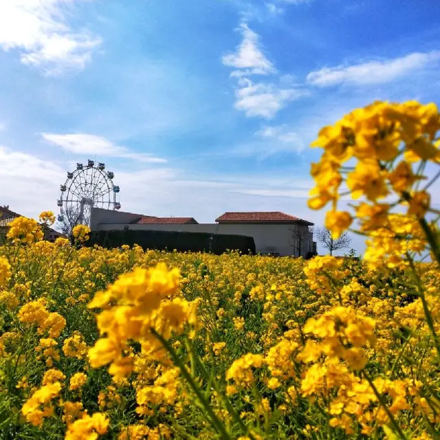 Nagai Seaside Park