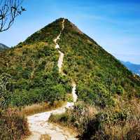 針山