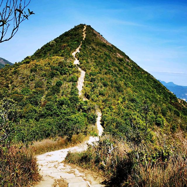 針山