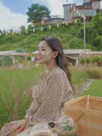 계절 꽃으로 가득한 뷰좋은 카페 원주 사진정원🌼