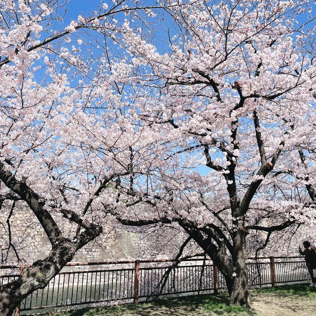 【大阪府】大阪城で歴史探訪！