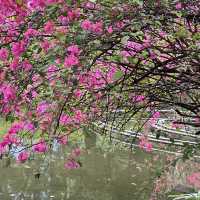 荃灣城門谷公園