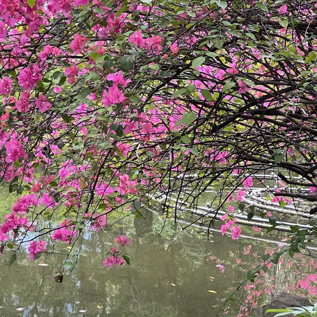 荃灣城門谷公園