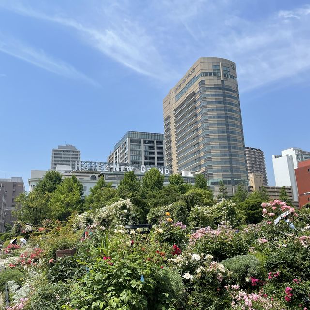 横浜の海の見える山下公園