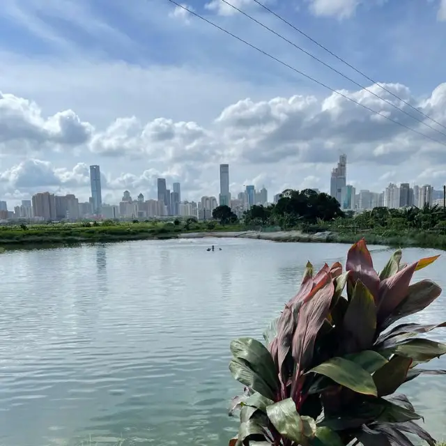 沿梧桐河行走，一路飽覽深圳和香港的城鄉美景