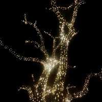 意大利 Bressanone 🔶 Mercatino di Natale