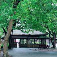 羅東林業文化園區📍🦋生態文化景點📍羅東林場