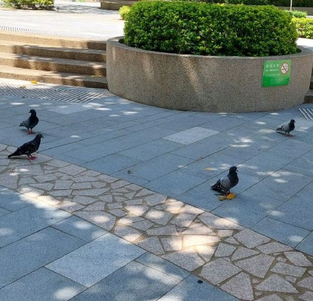 市中心休憩花園