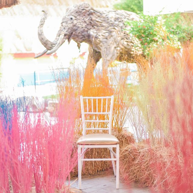 คาเฟ่หญ้าหลากสี มีน้องช้างสุดคิ้วท์ 🐘💐🍃