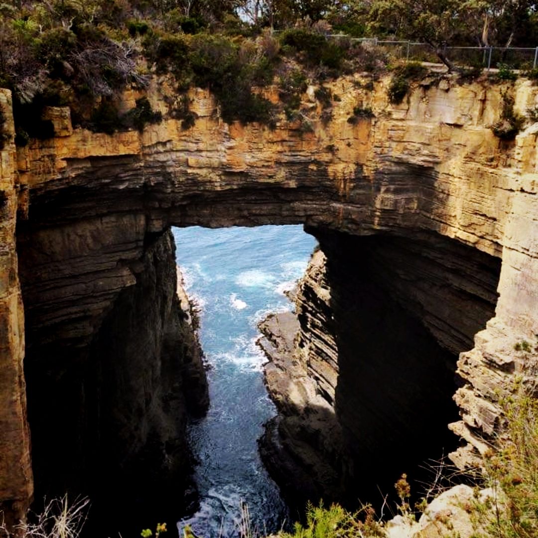 The Tasmania Sea Cliffs Lookout | Trip.com Tasmania Travelogues