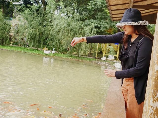 Veneto SuanPhueng