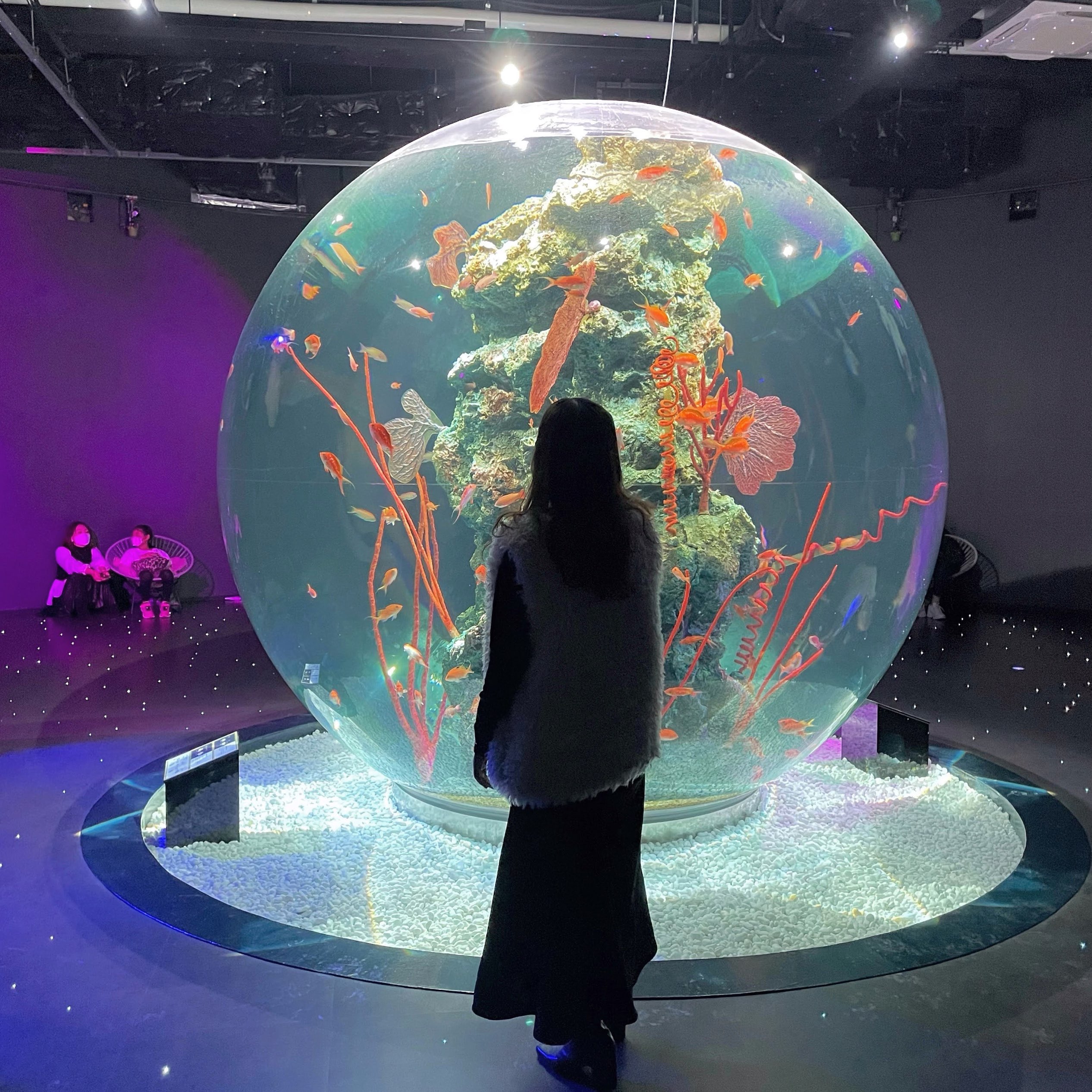 兵庫 映えすぎる最新水族館 Atoa 潜入レポ Trip Com 上海の旅のブログ