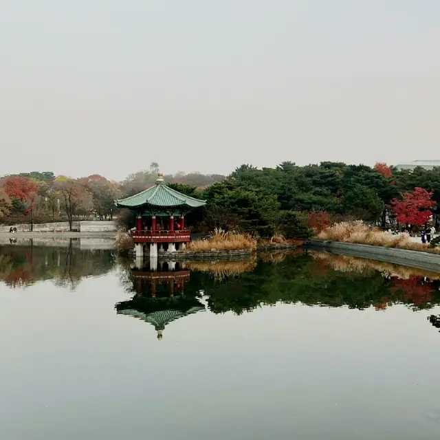 Beautiful view of National Museoum of Korea