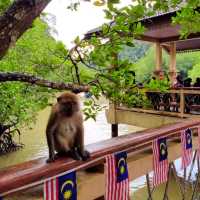Kilim Geopark , Langkawi best experience ever