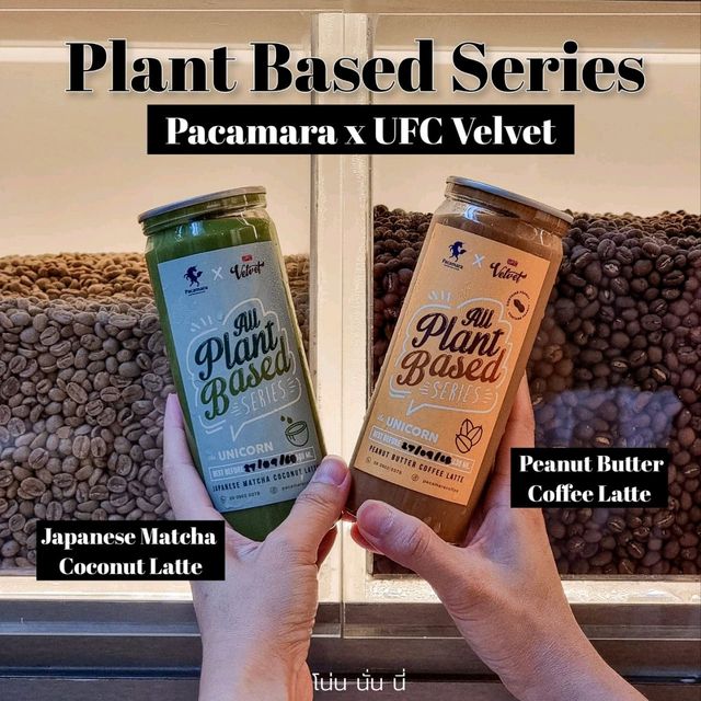 คาเฟ่ Pacamara x UFC Velvet มีเครื่องดื่มใหม่ 